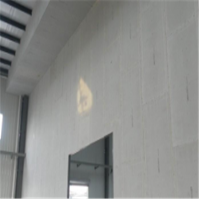 三亚新型建筑材料掺多种工业废渣的ALC|ACC|FPS模块板材轻质隔墙板